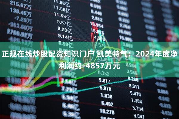 正规在线炒股配资知识门户 凯美特气：2024年度净利润约-4857万元