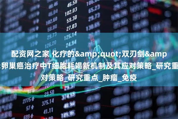 配资网之家 化疗的&quot;双刃剑&quot;：揭示卵巢癌治疗中T细胞耗竭新机制及其应对策略_研究重点_肿瘤_免疫