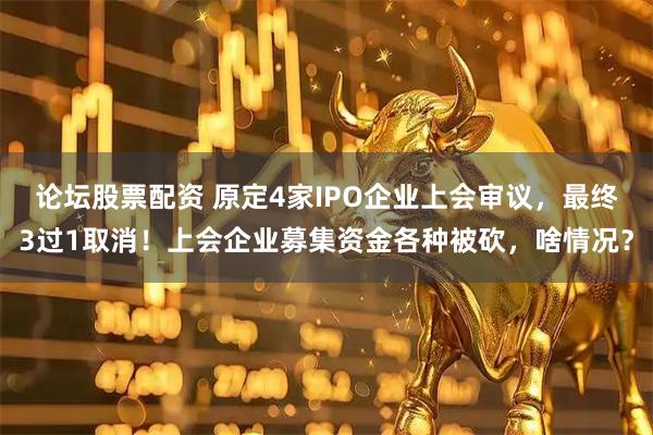 论坛股票配资 原定4家IPO企业上会审议，最终3过1取消！上会企业募集资金各种被砍，啥情况？